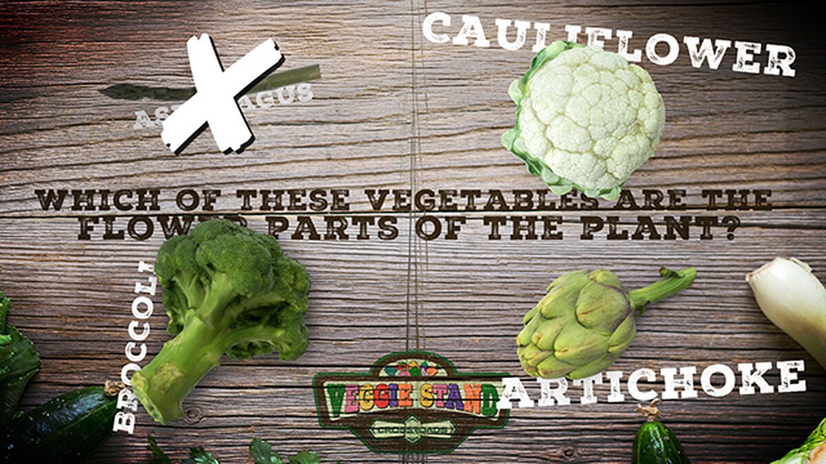 Veggie Stand: Crossroads image number null